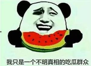 娱乐吃瓜有趣名字大全霸气,揭秘娱乐圈趣味名字背后的故事